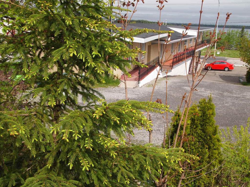 Motel Lyse Rimouski Ngoại thất bức ảnh